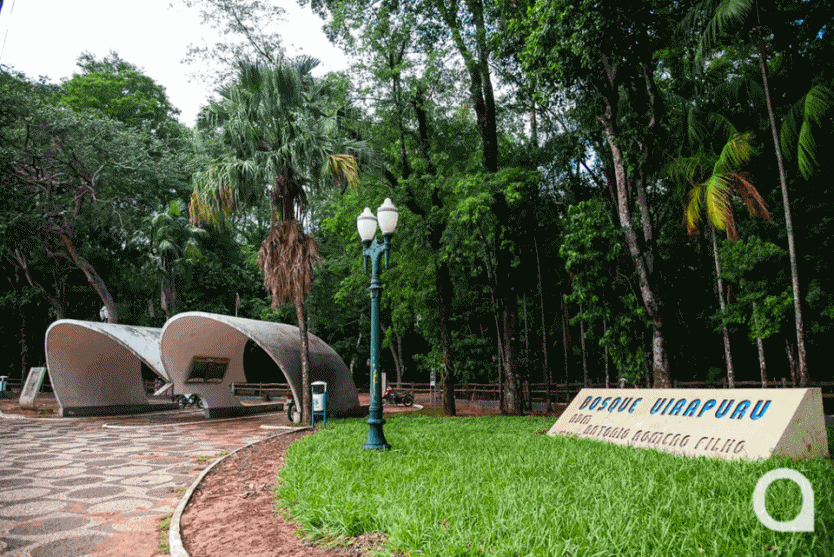 Umuarama é Uma Das Sete Metrópoles Mais Arborizadas Do Brasil! (2)