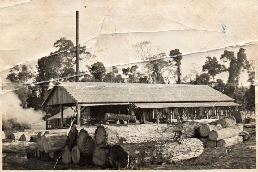 Umuarama é Uma Das Sete Metrópoles Mais Arborizadas Do Brasil! (5)