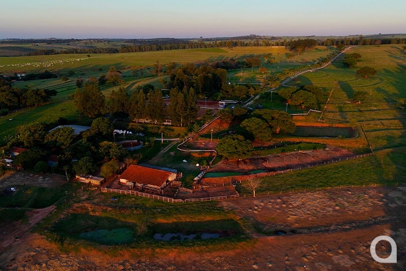 Whatsapp Image 2025 05 24 At 11.25.54 (1)