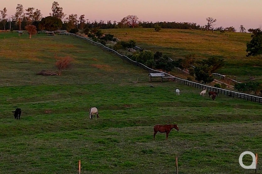 Whatsapp Image 2025 05 24 At 11.25.54 (2)