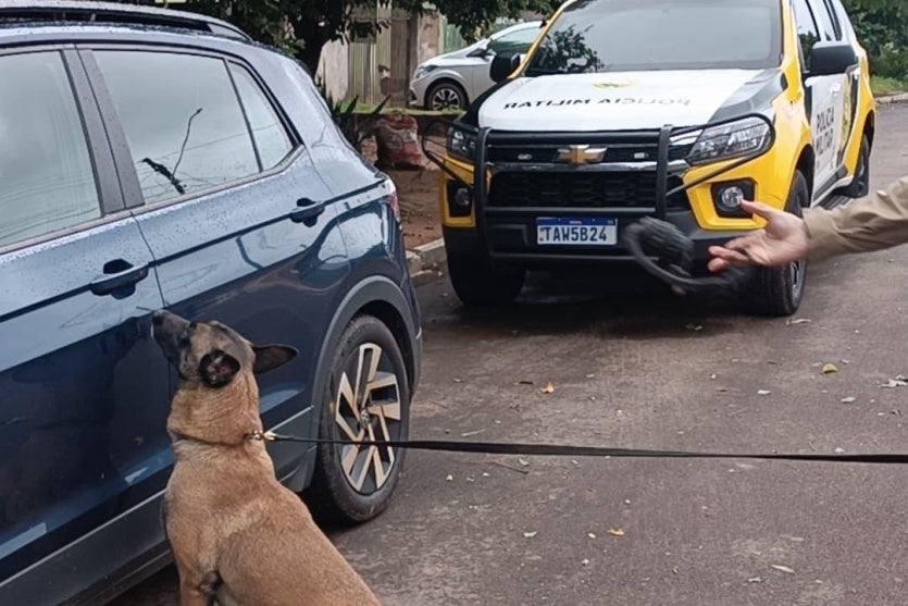 Whatsapp Image 2025 05 28 At 14.03.28 (1)