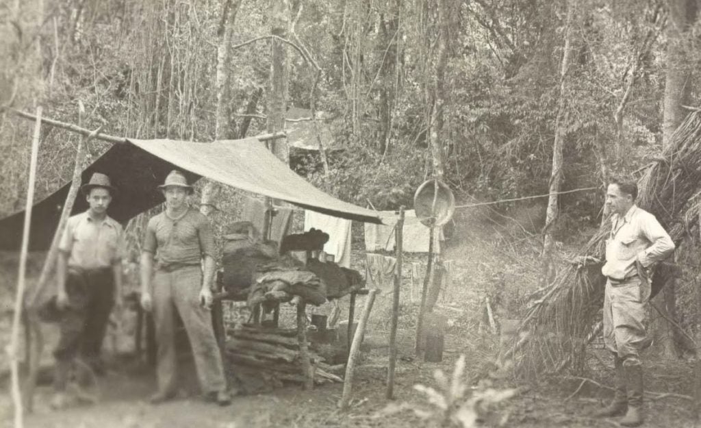 449346940 1081095480331954 6112883006758341729 N