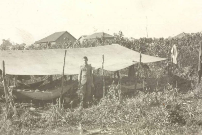 449373137 998869898554980 8842519099558568669 N