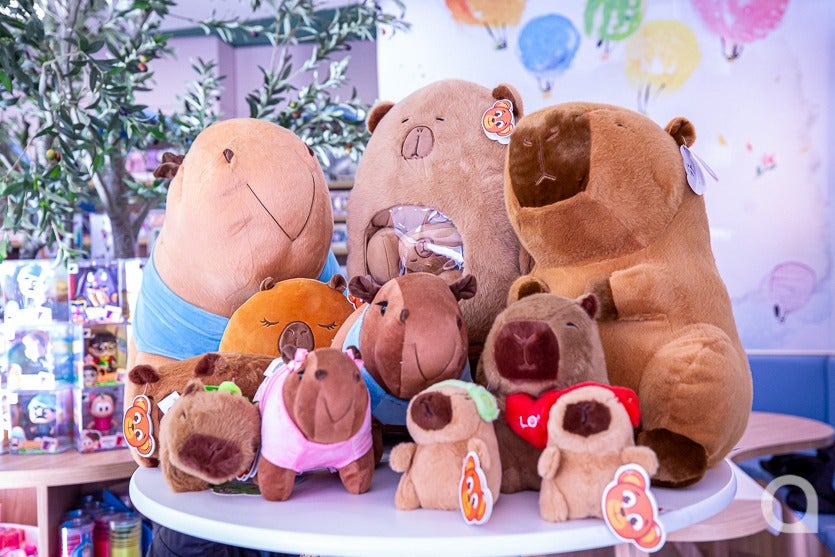 Big Bom Toys O Lugar Ideal Para Presentear No Dia Dos Namorados (3)