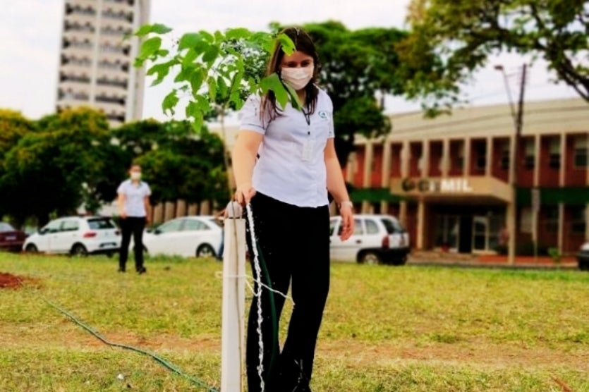 Cemil incentiva cuidados com árvores da Praça Oscar Thompson