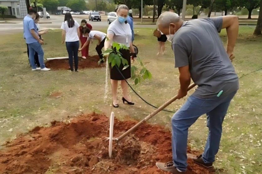 Cemil incentiva cuidados com árvores da Praça Oscar Thompson
