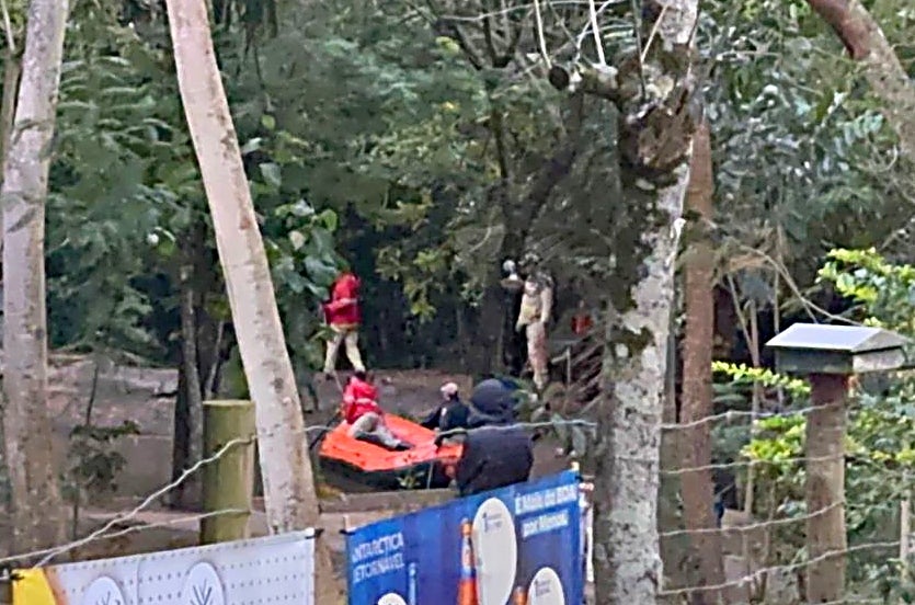 Equipes Concentram Buscas A Idosa Desaparecida No Dom Bosco (1)