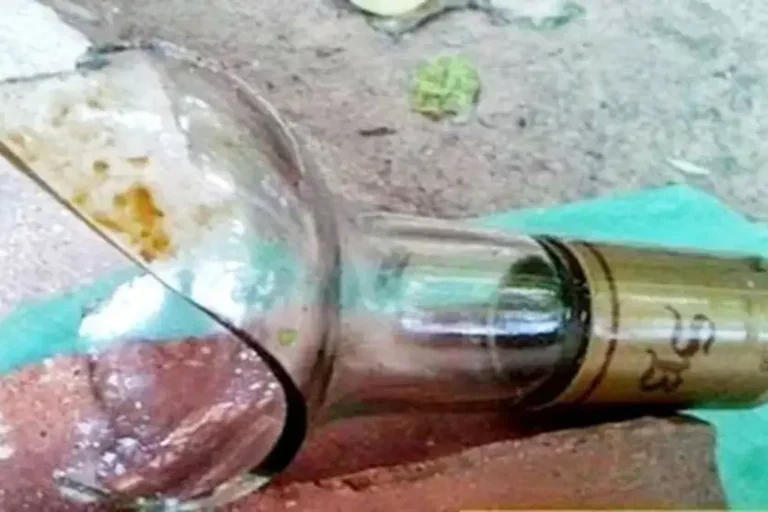 Filho destrói bar da mãe: Durante o ataque, ele quebrou garrafas de bebidas, arremessou cadeiras plásticas e jogou um copo de vidro contra os clientes.