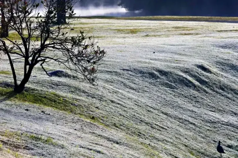 Frente Fria Inmet E Simepar Emitem Alertas De Geada No Paraná (1)