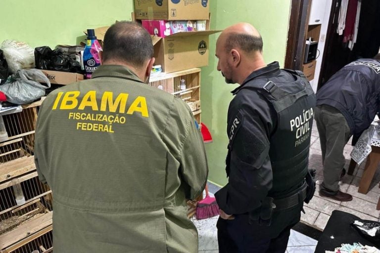 Grupo de tráfico internacional de animais: os policiais civis cumprem mandados de busca e apreensão em residências, clínicas veterinárias e cativeiros clandestinos.