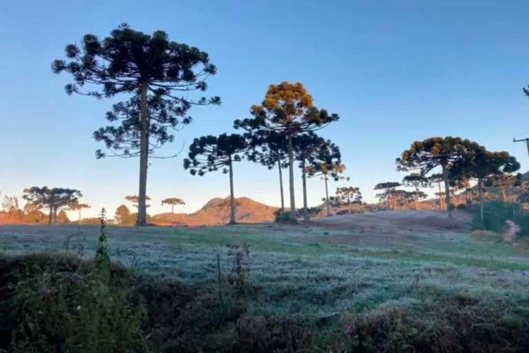 Inmet Emite Alertas De De Geada E Chuvas Intensas Para O Paraná