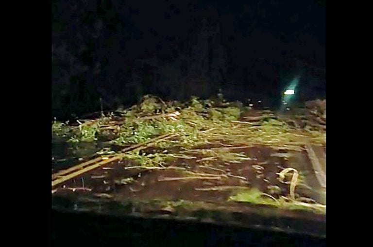 Mariluz é Atingida Por Temporal E Houve Quedas De árvores Nas Rodovias