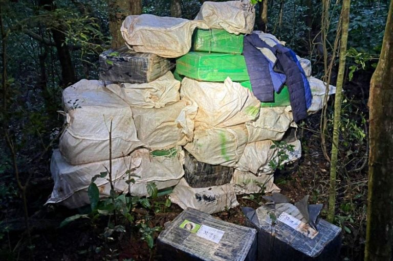 Pf E Bpfron Apreendem 1,2 Tonelada De Maconha Em Mata (2)