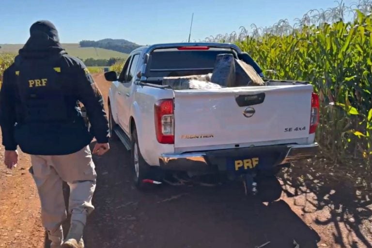 Prf Apreende 965,5 Quilos De Maconha Durante Ação Na Pr 323