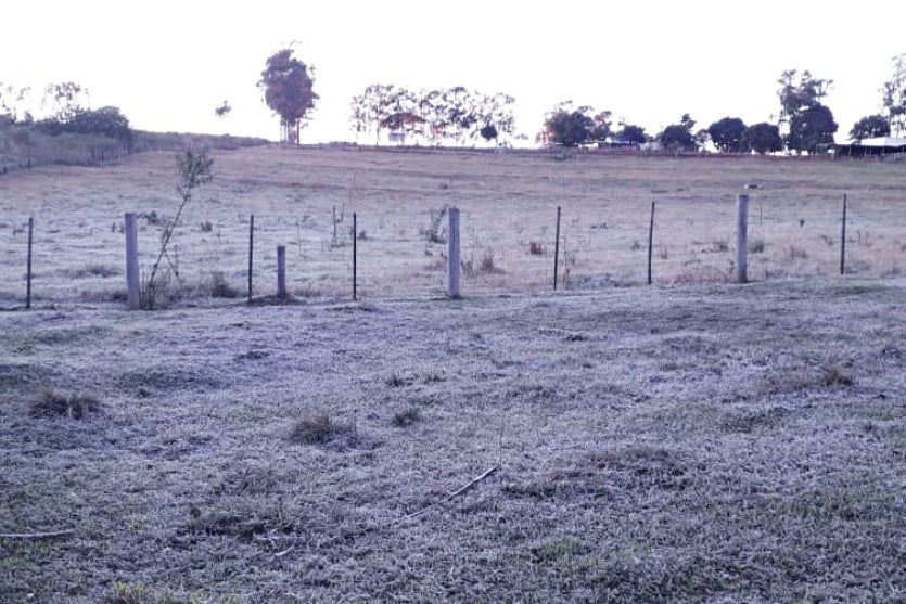 Paraná Tem Frio Recorde De 7,8°c Nesta Quarta Feira (2)