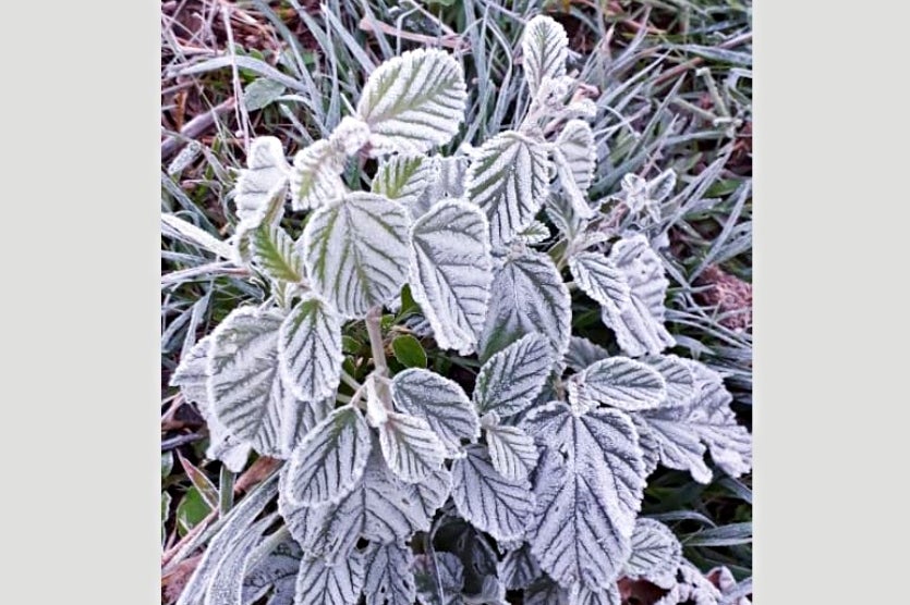 Paraná Tem Frio Recorde De 7,8°c Nesta Quarta Feira (3)