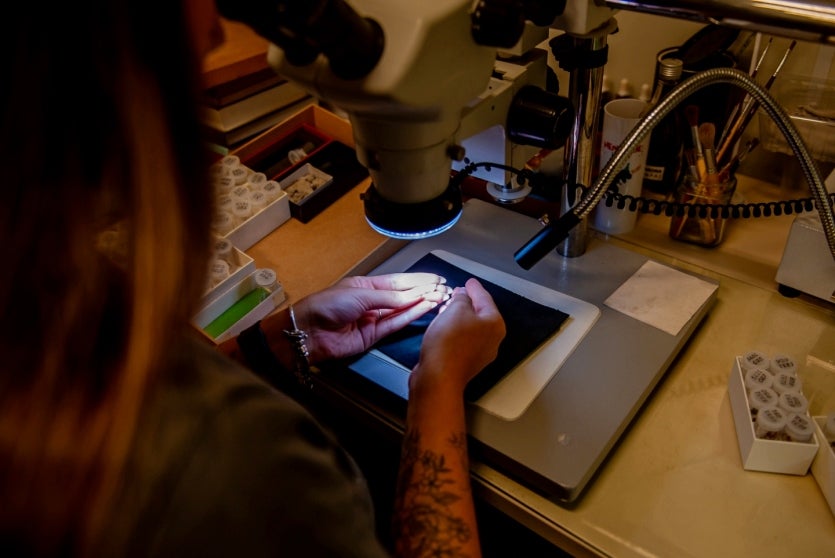 Pesquisa Mostra Tatu Que Viveu No Paraná Há 40 Milhões De Anos (5)