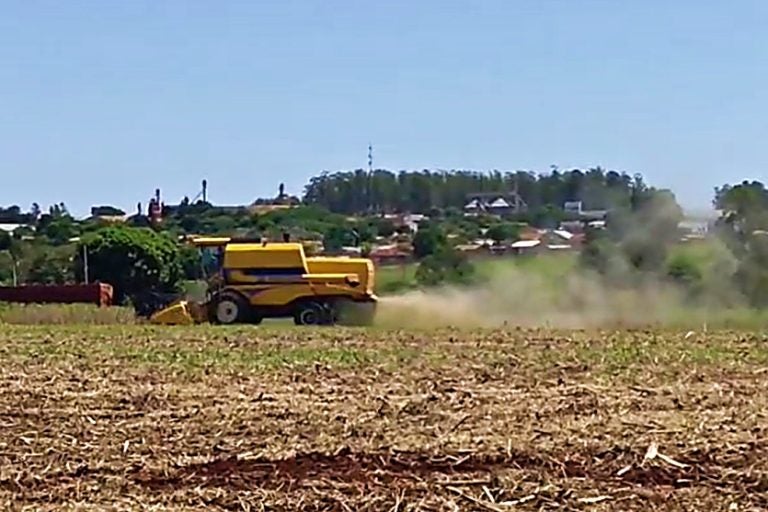 Plano Safra Sicredi Prevê Liberação De R$ 22 Bi Para Produtores