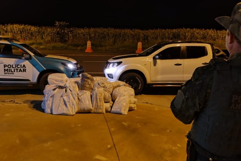 Polícia apreende: A caminhonete e os itens apreendidos foram encaminhados à Delegacia da Receita Federal em Guaíra