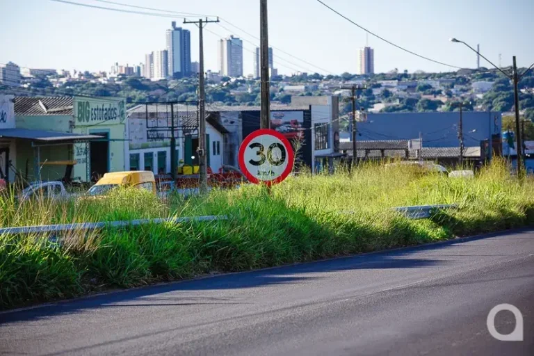Prefeito Cobra Der Para Retirada De Mato De Canteiros Da Pr 323 (3)