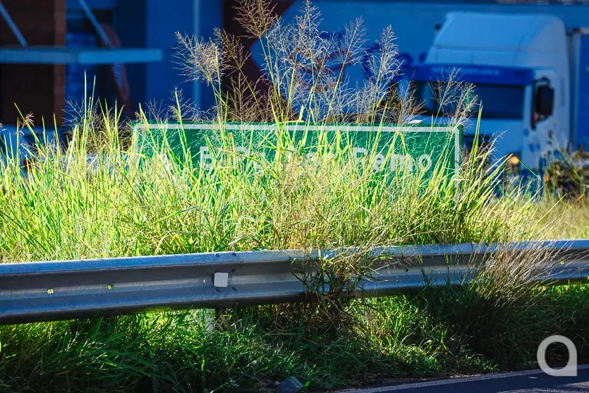 Prefeito Cobra Der Para Retirada De Mato De Canteiros Da Pr 323 (4)