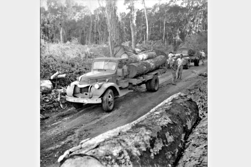 Previsão De Raimundo Durães ‘esta Cidade Nasceu Para Ser Feliz!’ (3)