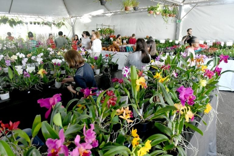 Umuarama Expo Flor E Feira Do Artesanato Começam No Dia 26