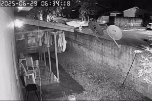 Vídeos mostram idosa desaparecida: as buscas se concentram em uma área de mata próxima onde as imagens foram registradas.