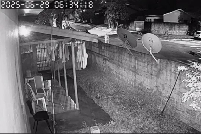 Vídeos mostram idosa desaparecida: as buscas se concentram em uma área de mata próxima onde as imagens foram registradas.