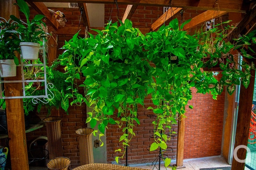 Whatsapp Image 2025 06 05 At 10.09.11 (2)