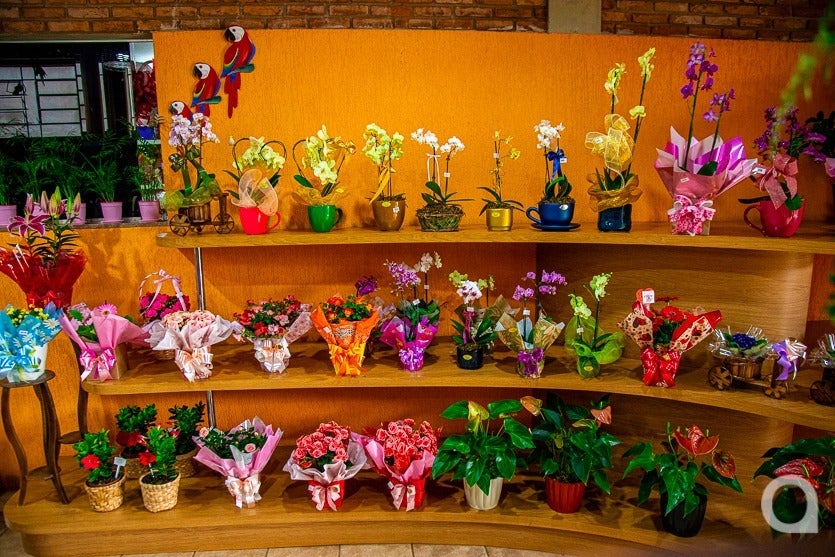 Whatsapp Image 2025 06 05 At 10.09.11 (3)