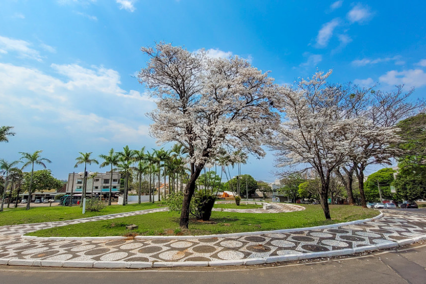 521197588 732825602989086 6994159678946814827 N