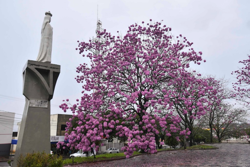 522319905 1910376849883558 4902046467528548401 N