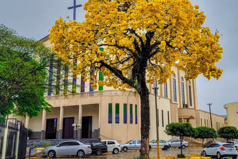 522877860 1258118512446534 1729058875667815528 N