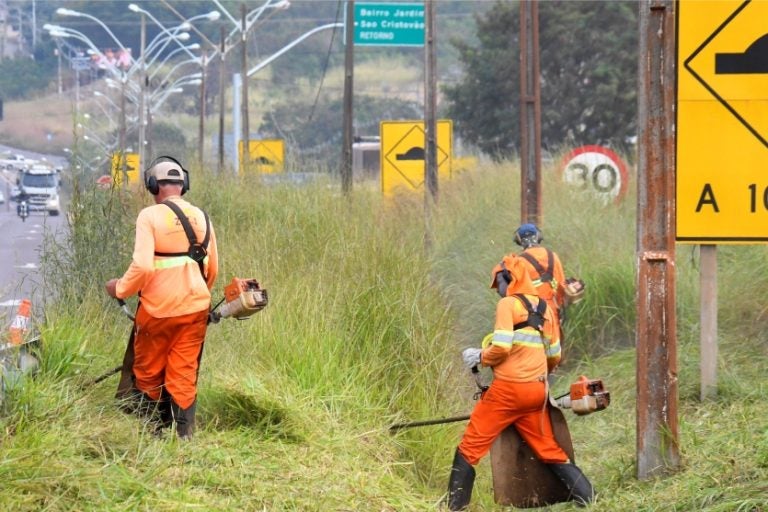 Após Pedido De Scanavaca, Der Inicia Roçada Do Mato Na Pr 323 (2)