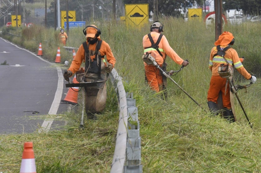 Após Pedido De Scanavaca, Der Inicia Roçada Do Mato Na Pr 323 (3)