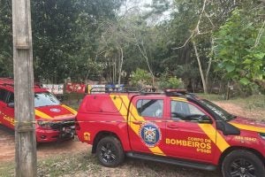 Corpo de idosa desaparecida: as buscas haviam sido interrompidas no fim da tarde de segunda-feira (30) e foram retomadas nesta manhã.