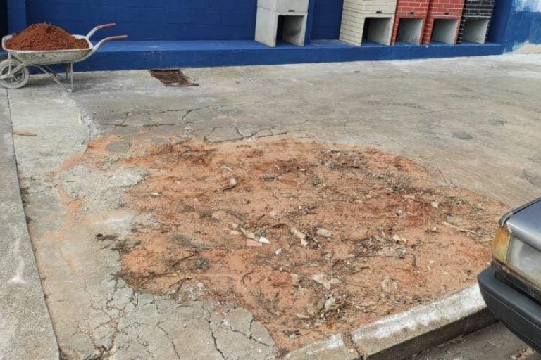 Corte de árvore no centro de Umuarama: o corte de árvores em vias públicas depende de autorização da prefeitura ou, em alguns casos, do IAT.