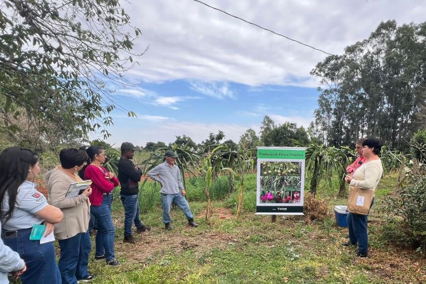 Design Sem Nome (12)