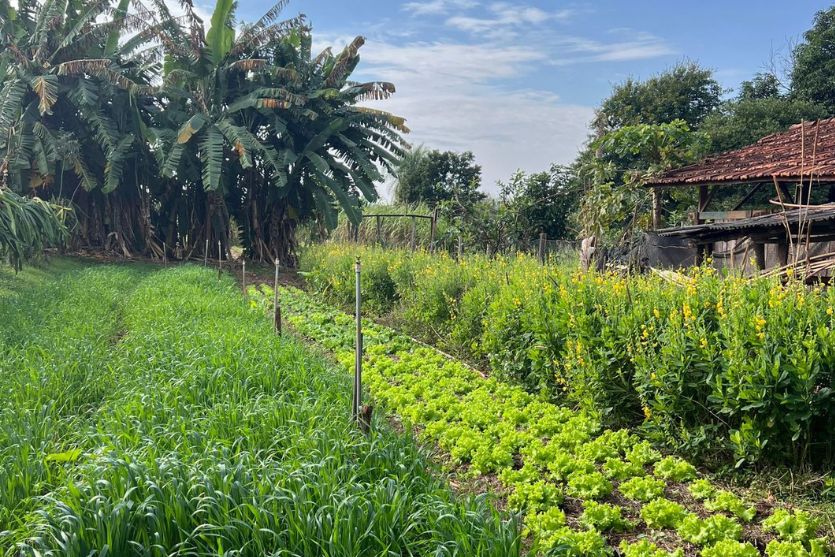 Design Sem Nome (13)