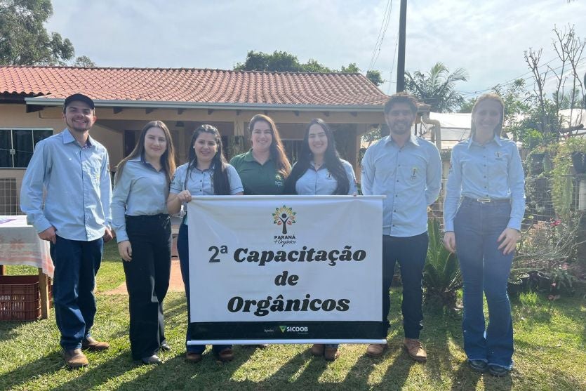 Design Sem Nome (14)