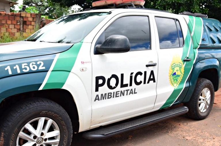 Equipes Policiais Prendem Homem Por Violência Doméstica