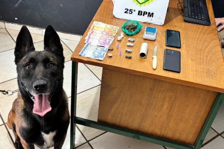 Jovens São Presos Por Tráfico De Drogas Perto Do Lago Tucuruvi