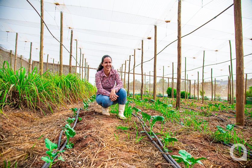 Leite De Cabra impulsiona Renda De Propriedade Em Umuarama (17)