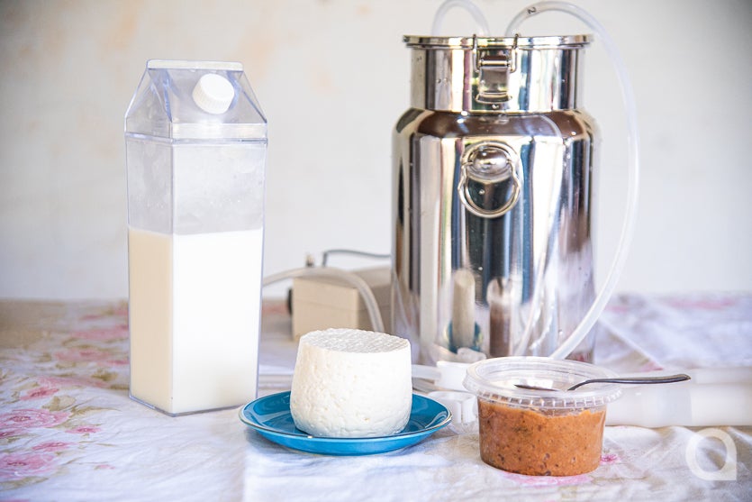 Leite De Cabra impulsiona Renda De Propriedade Em Umuarama (23)