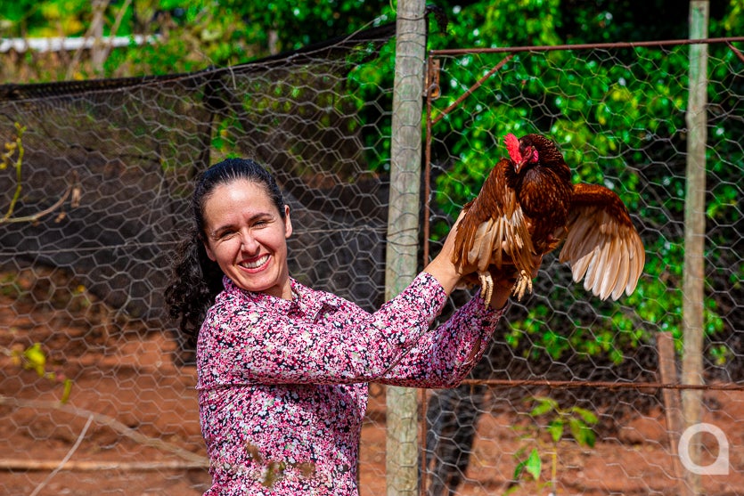 Leite De Cabra impulsiona Renda De Propriedade Em Umuarama (51)
