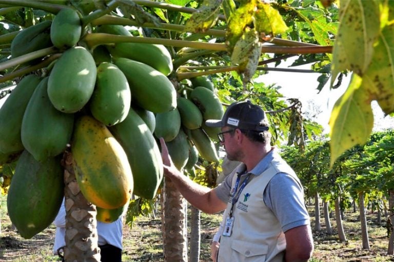 Missão Do Banco Mundial Visita Propriedades Rurais Em Umuarama (1)