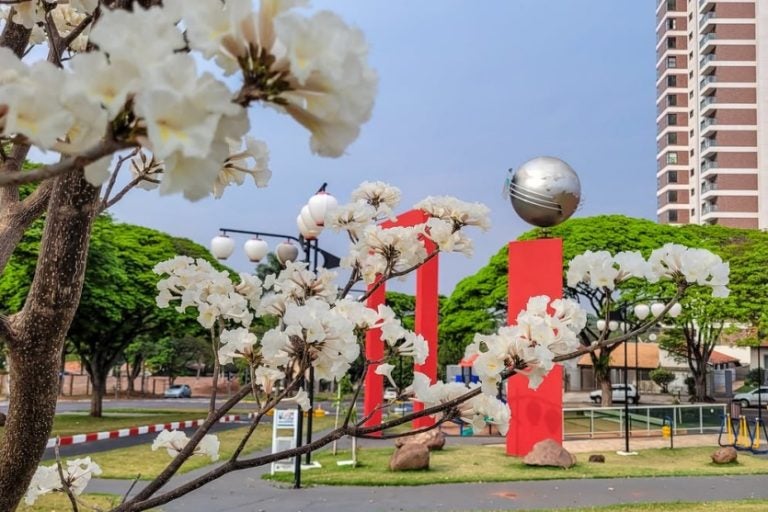 Os Ipês: Pela sua fascinante beleza e pela longa história, são símbolo da cidade oficializado por decreto municipal!
