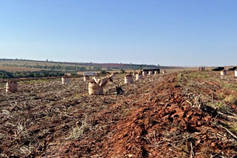 Paraguaios Resgatados Em Perobal Voltarão Para Casa Nesta Sexta 1 (1)