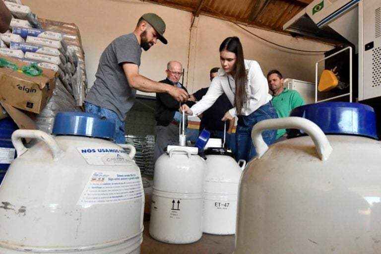 Prefeitura Entrega 1.300 Doses De Sêmen Para Produtores De Leite (2)